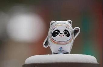 “冰墩墩”、“雪容融”商标也抢手，已被成功注册！